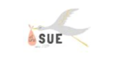 The Sue (thesue.co)