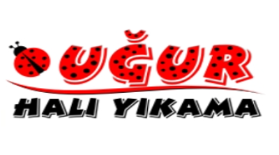 Uğur Halı Yıkama (Düzce) Logo