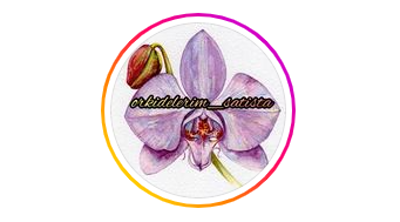 Orkidelerim_satista Logo