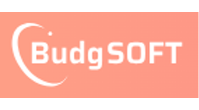 Budgsoft.com Logo