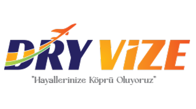 DryVize Danışmanlık