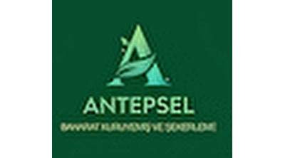 Antepsel Baharat Kuruyemiş ve Şekerleme