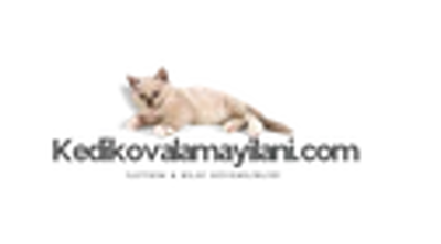 Kedikovalamayilani.com Logo