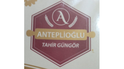 Anteplioğlu Tahir Güngör Logo