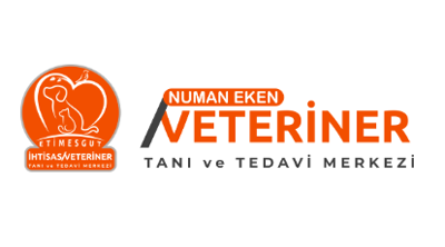 Etimesgut İhtisas Veteriner