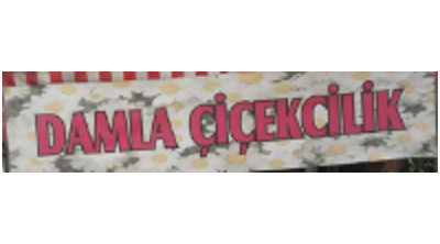Damla Çiçekçilik (Ankara) Logo