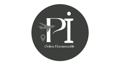 Pi Online Danışmanlık Logo