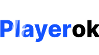 Playerok Logo