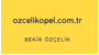 Özçelik Opel