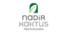 Nadir Kaktüs Plant & Decoration