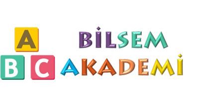 Bilsemakademi.net