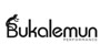 Bukalemun Performans
