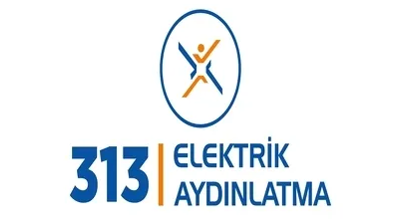 313 Elektrik