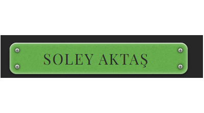 Soley Aktaş Danışmanlık Logo
