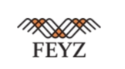 Feyz Contemporary Rugs