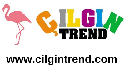 Çılgıntrend Logo