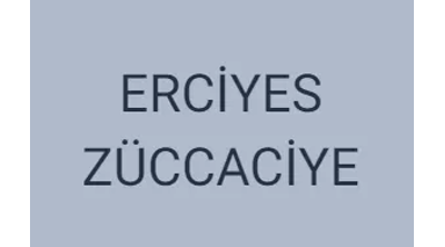 Erciyes Züccaciye Logo