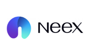 Neex Menkul Değerler Logo