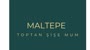@maltepetoptansisemum Logo