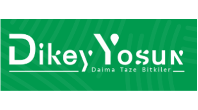 Dikey Yosun