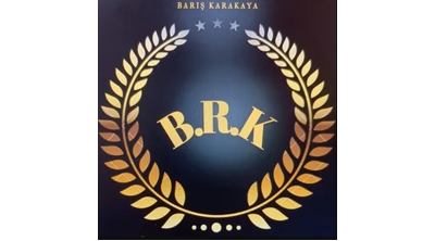 Barokastor Logo