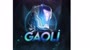 @Gaoli.tr