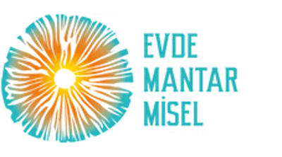 Evde Mantar Misel