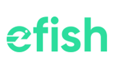 Efish Şarj Sistemleri