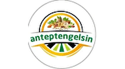 Antepten Gelsin Logo