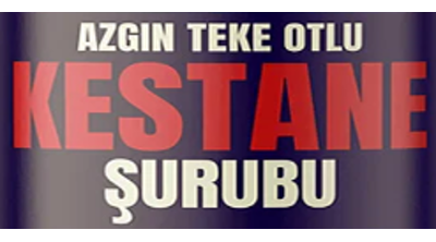 Kestanesurubu.com.tr