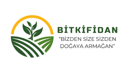 Bitkifidan.com Logo