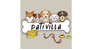 Pativilla