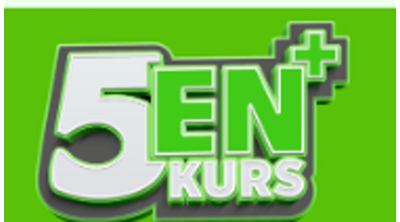 5en Eğitim Kurumları