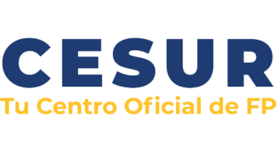 Cesur Logo