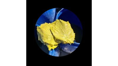 @yaprakk_salamura_manisa