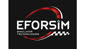 Eforsim - Simulatör Technologies