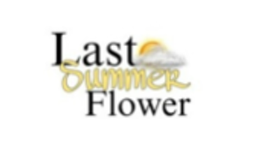 Last Summer Flower