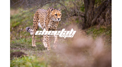 Cheetah Makine