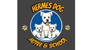 Hermes Dog Hotel & School