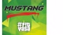 Mustang Fitness Motivation Club | Buca Logo