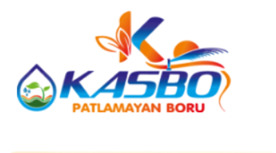 Kasbo Boru