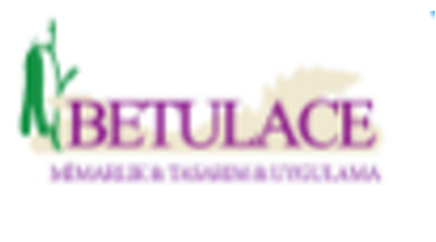 BetulaceAhsapOyuncak