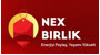 Nexbirlik Logo