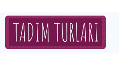 Tadım Turları Logo