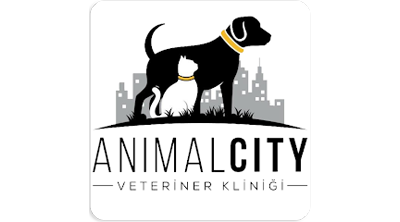 Animal City Veteriner Kliniği
