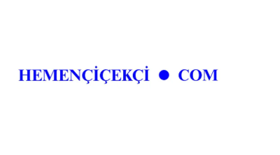 Hemencicekci.com