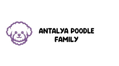 Antalya Poodle Family