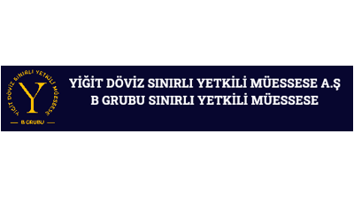 Yiğit Döviz | Başakşehir Logo