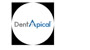 Dent Apical