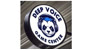 Deep Voice Game Center Logo